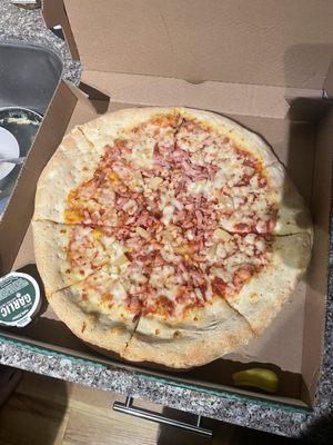 Papa Johns Pizza