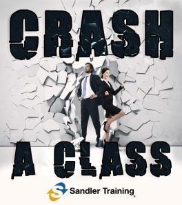 Sandler Training