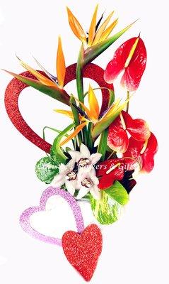 Tropical anthurium, cymbidium orchids and birds of paradise - dressed for Valentine's Day