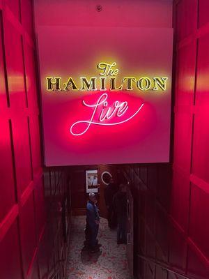 The Hamilton Live