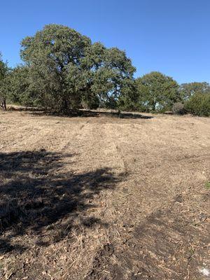 Mowed down our tall grass. We will have them come back to do this a few times a year.