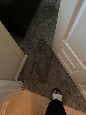 Saturated carpet and standing water in the 3rd bedroom