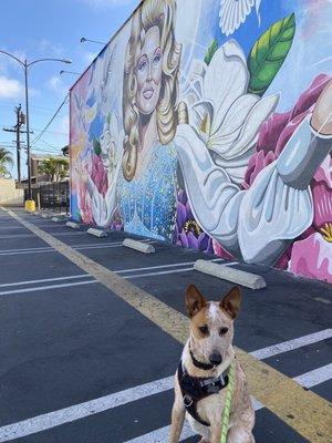 My dog did not attend the show but we love the mural at strut!