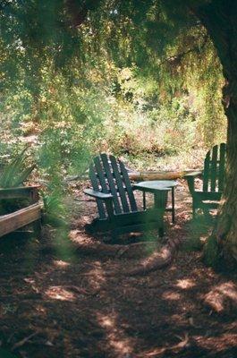 Adirondack chair picture developed by Thacker's.