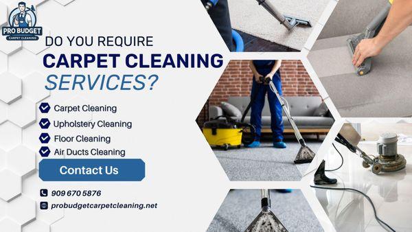 Pro Budget Carpet Cleaning