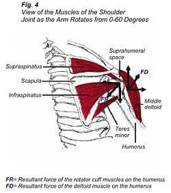 shoulder pain should not go untreated.