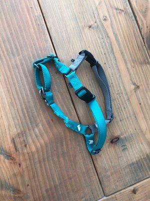 Image to show the quality of the rest of the harness. Definitely NOT chewed on or old.