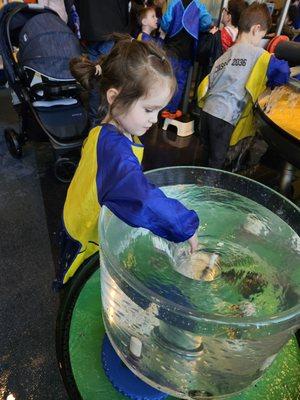 Water exhibit area