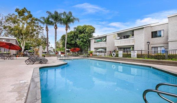 Lounge by the pool