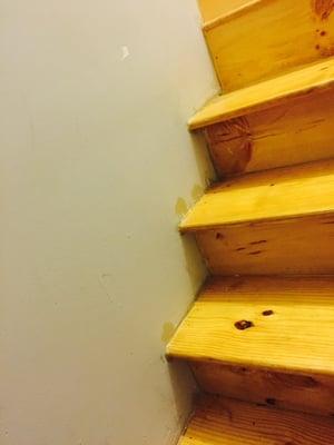 All floors/ stairs were sloppily stained after the walls were painted and trim (the trim they bothered with) was put on