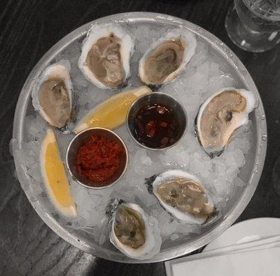 Oysters on the half shell.