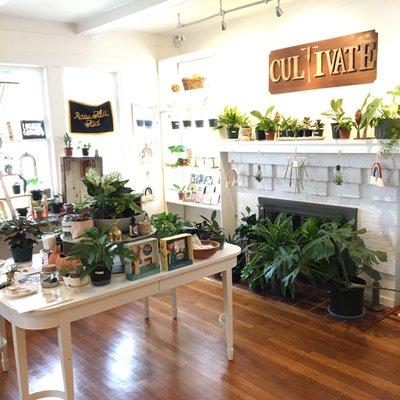 So many great plants and gifts for yourself or loved ones!