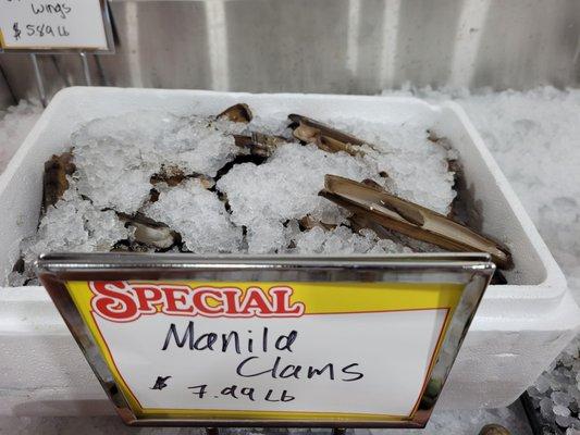 Manila Clams