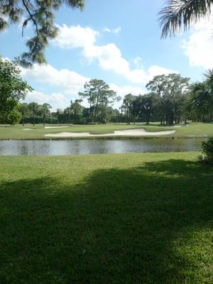 Brilliant 16th green.