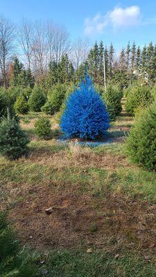 Blue Christmas tree