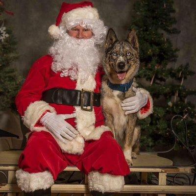 Santa Paws came to visit Spoiled Pets!