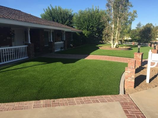 Synthetic Lawn