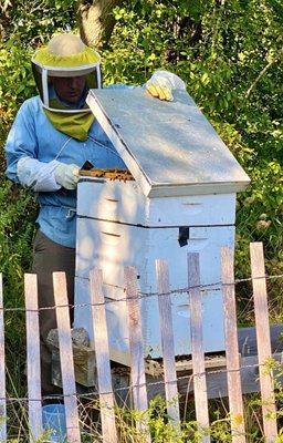 Brian of Bub's Honey