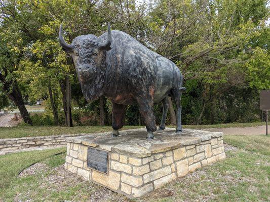 Buffalo Sculpture, Cleburne