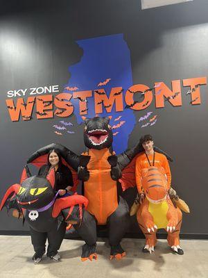 Sky Zone Westmont, IL