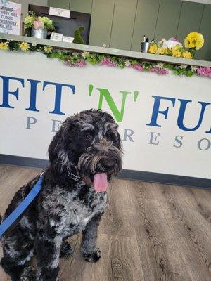 Bess at Fit n Furry