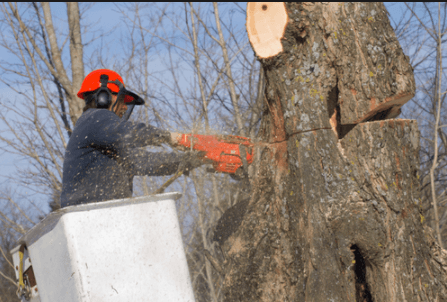 Felix Tree Service