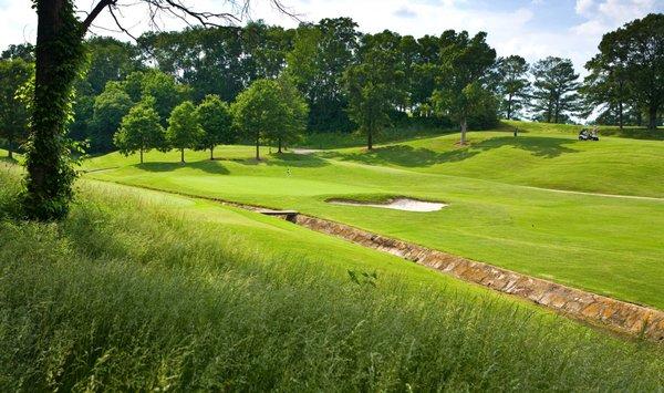 View of #8 Green