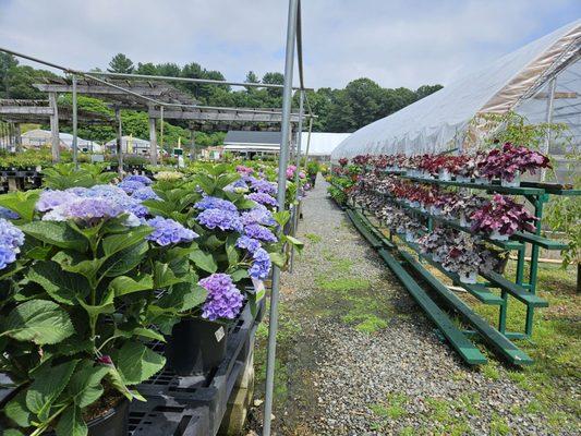 Perreault Nursery & Landscape Supply