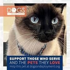 Support our GIs by boarding their pets.