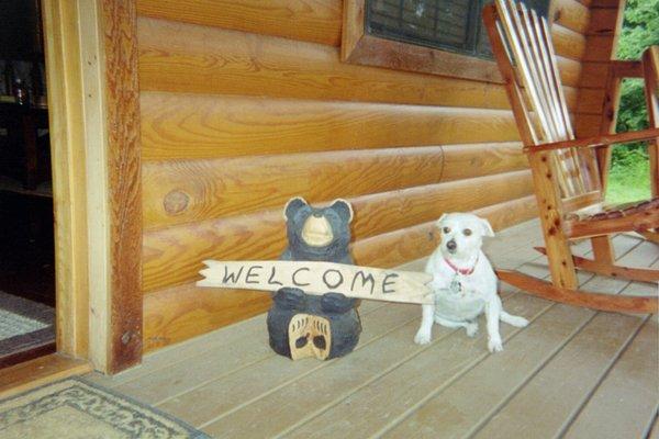 Buckner Terrace Animal Clinic