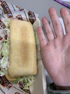 This is a medium, 12$ sandwich. Hard pass.