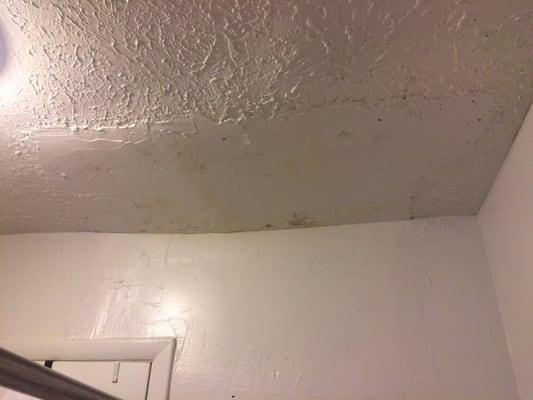 Moldy ceiling