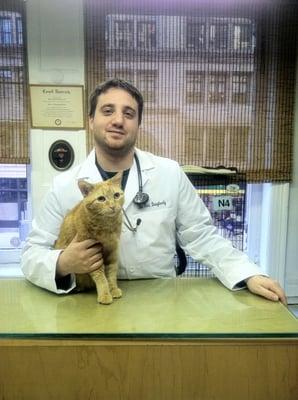 Dr. Dougherty, Medical Director of The Cat Practice