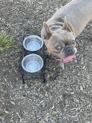 Plenty of water stations