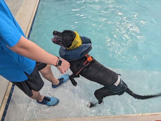 Canine Fitness Center