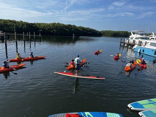 Guided eco tour with Urban Kai