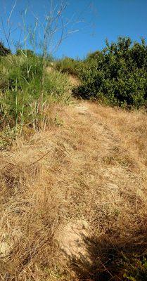 Uphill climb at Goat Trail Loop