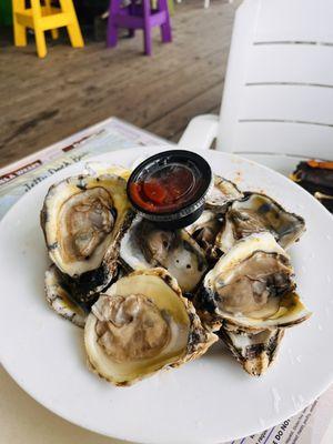 Oysters