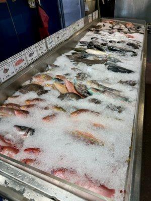 Massive fresh seafood selection!