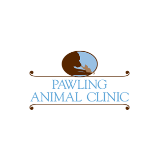 Companion Pet Hospital