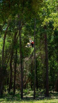 One of the 7 different ziplines that you go on when taking the tour