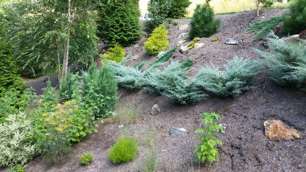 Steep bank landscaping, Asheville