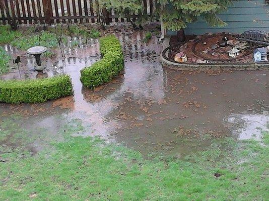 This is exactly why a proper drainage system is crucial for your yard. Flooding like this is not only a nuisance, it could ki...