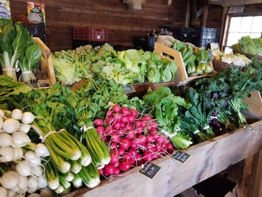 farmstand