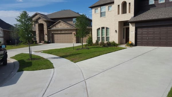 Lawn after organic fertilizer.  Still in progress but showing great results! Go Organic it Works!