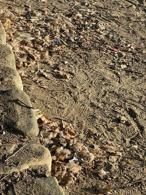 All over the swimming area was piles like this, a mixture of trash, animal feces and feathers.