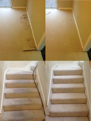 Carpet Cleaning Service Fremont