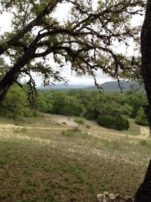 Beautiful views of the Frio canyon.