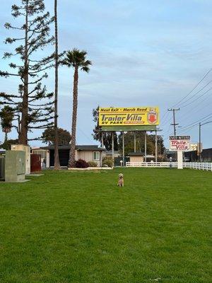 Grass areas were always taken care of and had dog bags and trash cans as well.