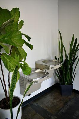 Fountain outside the bathroom